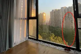 玻璃中间出现了水汽，我们该怎么办图片