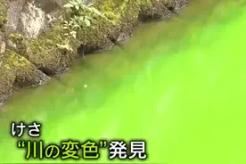 核辐射反噬？日本河水一夜突变荧光绿！政府警告：千万不能碰图片