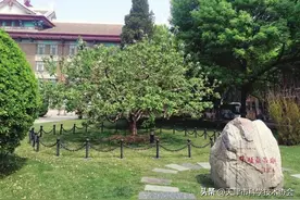 这里，种了棵“牛顿苹果树”图片