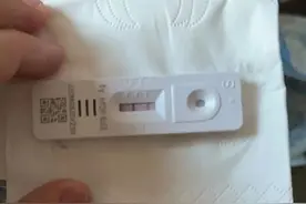 抗疫日记（一）：报告，我羊了！图片