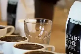 咖啡里该不该加奶、加糖？图片