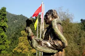 “蛇中大熊猫”莽山烙铁头究竟有多珍稀？凭什么一条100万？图片