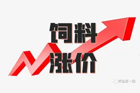 饲料年年涨价！自配饲料与鱼料配置：原料成分占比和饲料配方原则图片