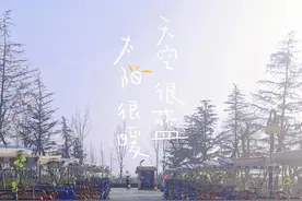 大沙河公园图片