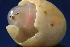 50幅世界天然最贵最美的稀世奇石：此生难得一见图片