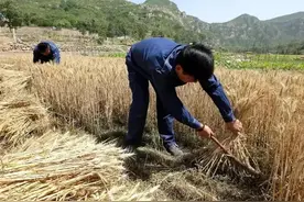 八十年代农村的“万元户”，相当于现在多少资产？图片