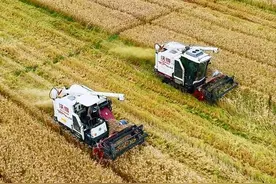 9公斤小麦收割机，中联谷王vs江苏沃得，针尖对麦芒的王者之争图片