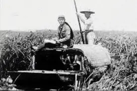 弹起我心爱的土琵琶图片