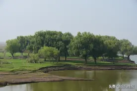 历时两年！洞庭湖湿地发现5种省级新纪录种图片