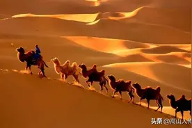 朋友！您们知道《梦驼铃》这首歌曲背后的家国恨吗？图片