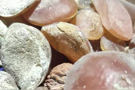 这种青鱼石有野生的，有养殖的，但它能玩图片