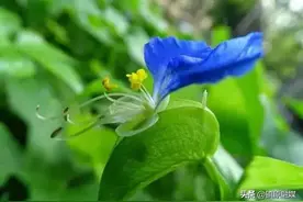 对父母不好的人，不可深交图片