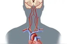 古人说的“魂魄”是指哪里？图片