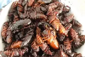 我的童年是伴随着山水牛长大的图片