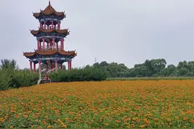 黑龙江游记之一百三十五 牡丹江篇 江滨公园及江心岛图片