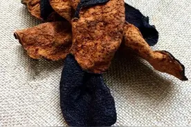 陈皮是橘子皮么图片