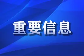 疫情期间，这些高频业务可“线上办”图片