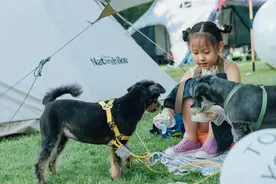 细节满分的「宠物公园」，满足了哪些关于宠物的再想象？图片