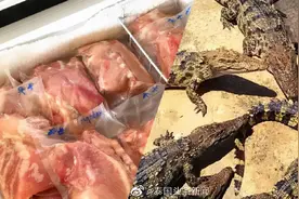 泰国猪肉、鸡肉价格上涨，民众改吃鳄鱼肉了？图片
