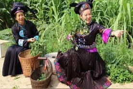 「云岭电商」西畴：“李姑妈”变身网红达人成乡村振兴“好推手”图片