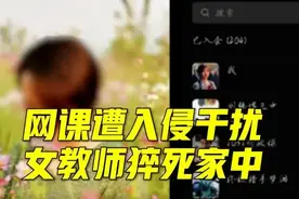 河南女教师遭网暴，疑似参与者发声：骂人就有钱，我只是捣了个乱图片