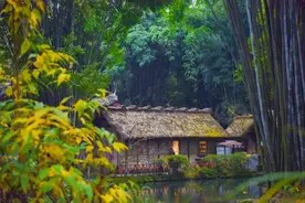 四川『竹』够有趣图片