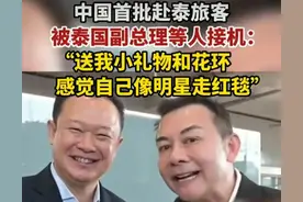 赴韩戴“狗牌”，赴泰总理相迎，站着赚钱不磕碜，跪着送钱才丢脸图片