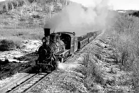 北安龙镇丨我的家在东北 兵团岁月(27)图片