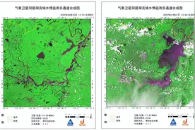 洞庭湖汛期反枯，湖区变草原！旱灾后洞庭湖为啥一定要警惕鼠患？图片