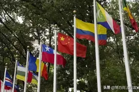 你知道在联合国上班，能发多少工资吗图片