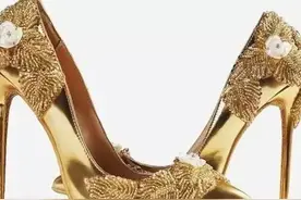 迪拜一双鞋价值人民币1亿元图片