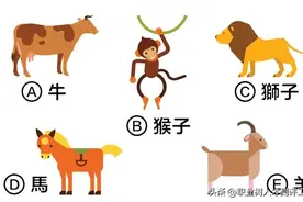 心理测验：你会放弃哪只动物？ 10秒测出什么人对你最重要？图片