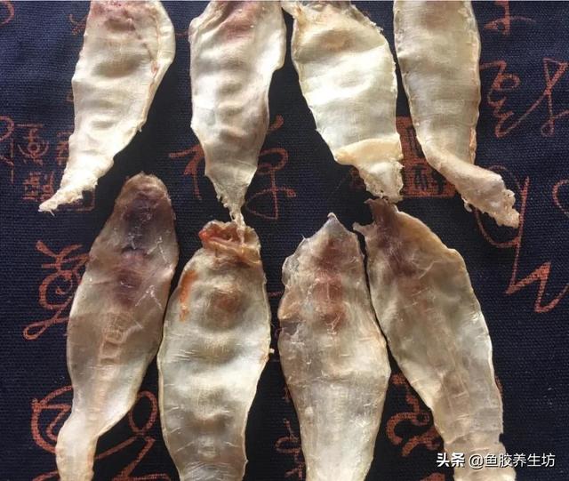 大口公鱼胶的功效与作用 2026年大口鱼胶公胶和母胶哪个好 大口公鱼胶的功效与作用 2026年大口鱼胶公胶和母胶哪个好