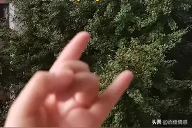浙江一女生学会一套手势，去阳台“呼风唤雨”，手势结束让她愣住图片