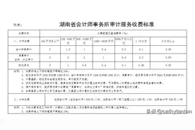 湖南省会计师事务所审计服务收费标准图片