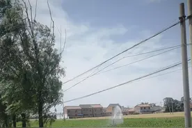 河南人为什么不管路费有多贵都要回家收麦子图片