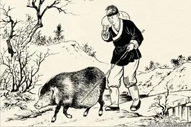 民间故事：劁猪匠深山救狐，新婚夜，狐狸找上门：你的新娘不是人图片