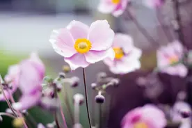 男人过了四十岁，依然沉迷于这几件事，可能没什么本事图片