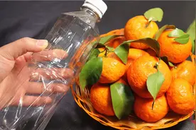 今天才知道，把橘子皮装进塑料瓶里，一年能省好多钱，实用又省钱图片