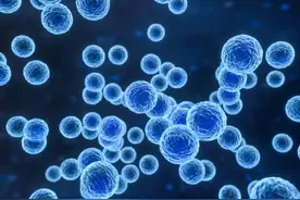 实现“永生不死”，她真的做到了！然而……图片