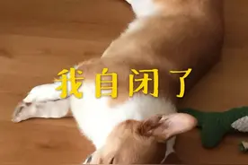 太难闻！邻居天天往我家地下室门口泼小便，不仅臭气熏天还影响正常出行，我可以起诉他吗？图片