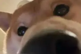 在聊天群里发什么文案最沙雕？图片