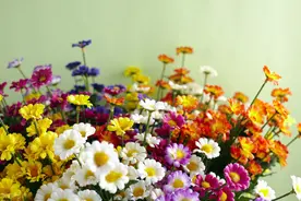 亲戚之间关系再好，随礼时，也要守住这三条规矩图片