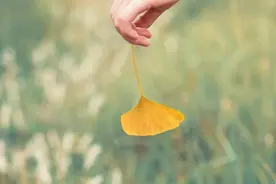人性最大的愚蠢：是见不得别人好图片