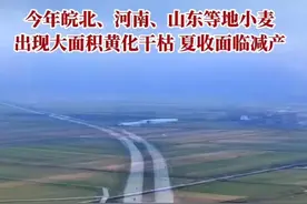 今年七九不一般，老人说：“寒风交七九，遍地添坟头”，啥意思？图片