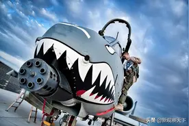 这不是一架装着机炮的飞机，而是一门插着翅膀的机炮图片