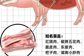 让卖肉的看见你害怕的选肉技巧：营养、好吃、便宜，就看你要啥图片