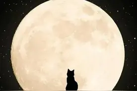 你知道吗，梦有时候是在给你暗示图片