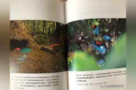 除了适者生存，达尔文还有一种进化观点，竟然被隐瞒了150年之久图片