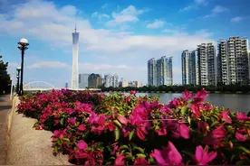 广州海心桥，曾经非常火爆，如今人流减少，游客：还需要预约吗？图片